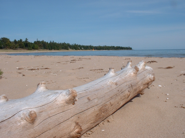Driftwood log on Lake Michigan sand beach