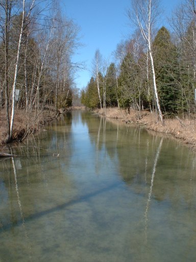 Calm Creek with reflections