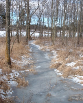 Frozen creek