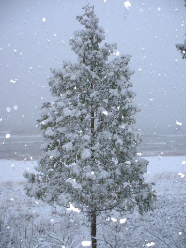 Late snowfall in April